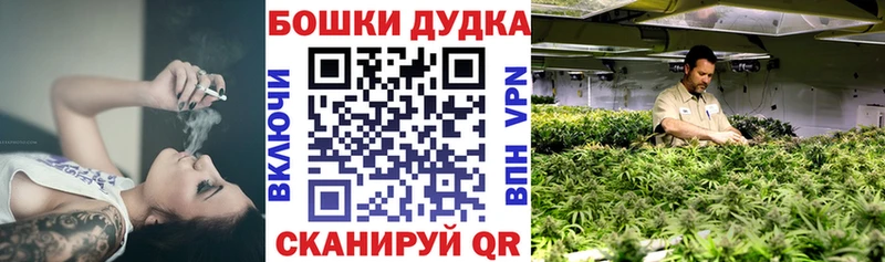 купить наркоту  Калачинск  Канабис семена 